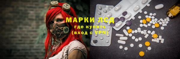 СК Абинск