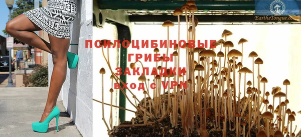 спайс Абаза