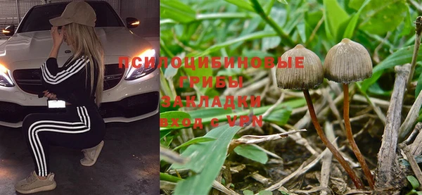 спайс Абаза