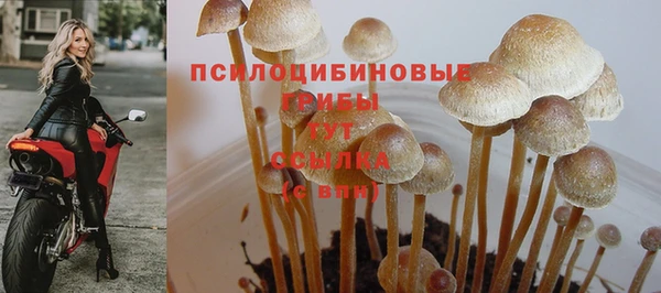 экстази Абдулино