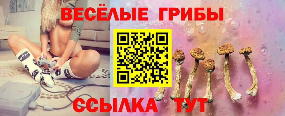 купить наркотик  Вход с VPN  Димитровград  Галлюциногенные грибы мицелий 