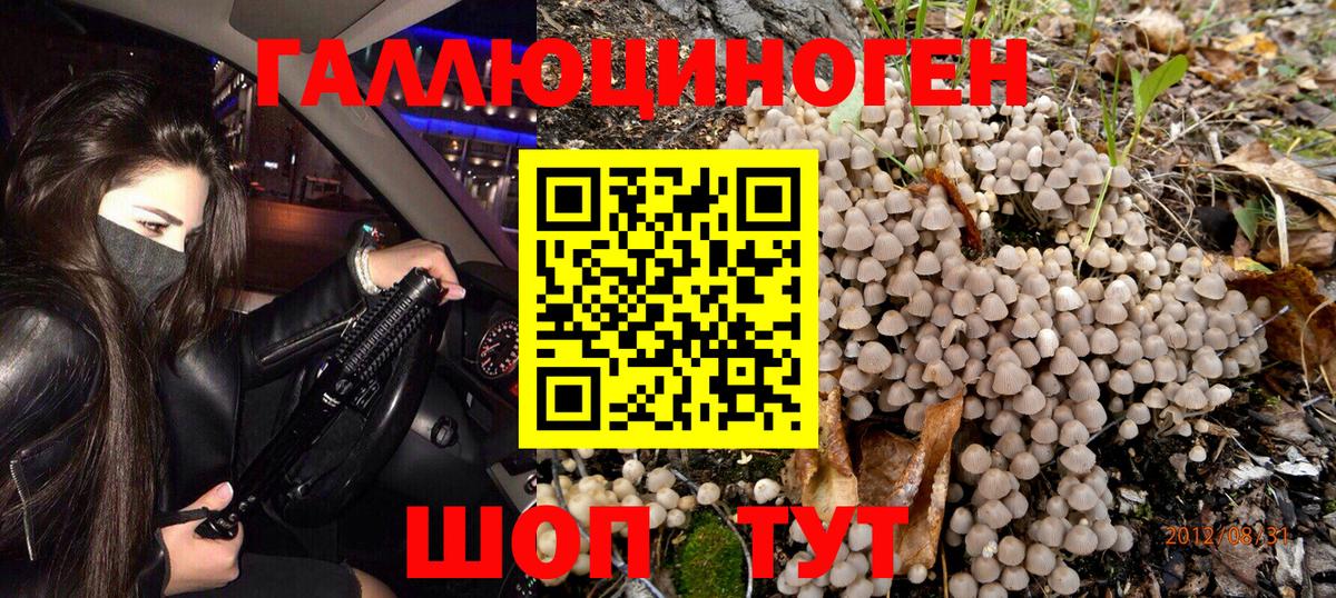 Галлюциногенные грибы мицелий Димитровград