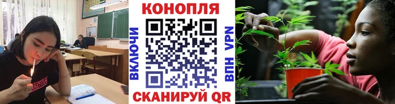 Конопля THC 21%  Димитровград 